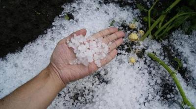 Title: Tunisia: Hail Causes Significant Damage