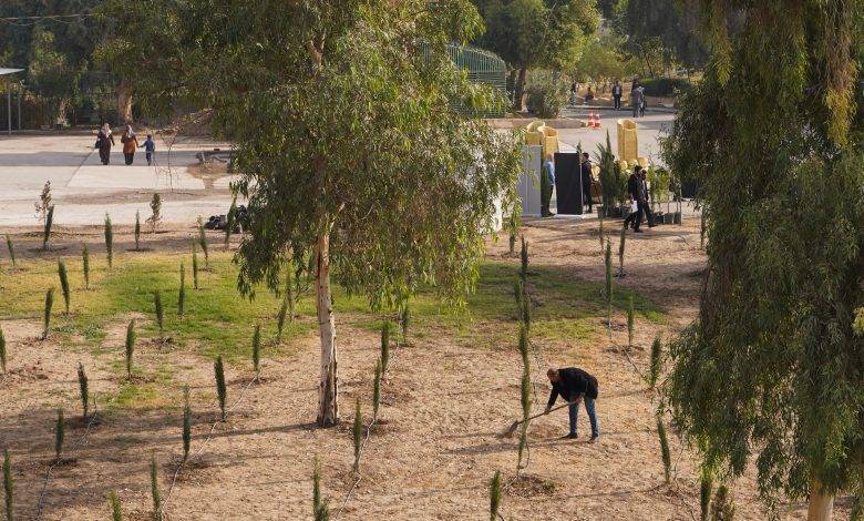 Iraq Launches Initiative to Plant 5 Million Trees to Combat Desertification