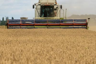Ukraine Anticipates Decrease in Grain Harvest in 2022