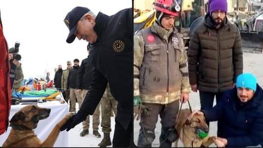 Sila: A Trained Dog Rescues 12 People in Turkey Earthquake