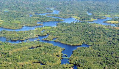 Federal Police to Protect the Amazon Forests!