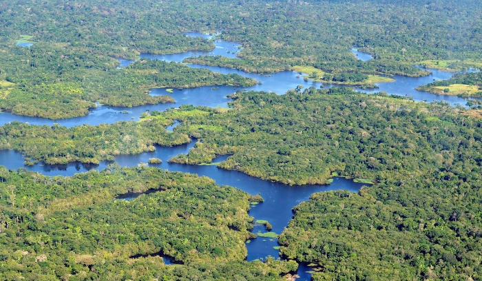 Federal Police to Protect the Amazon Forests!
