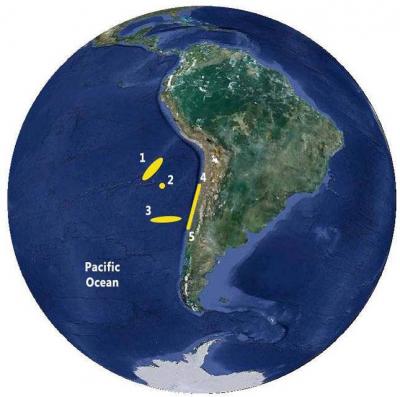 Earthquake of 5 Magnitude Strikes Southeast Pacific