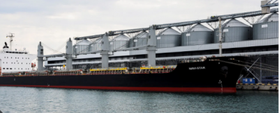 Turkey and the U.S. Aim to Extend Grain Export Agreement