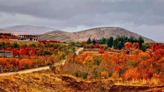 Autumn Beginnings... and Rain is 