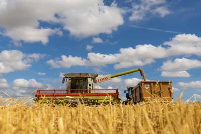 Russia Considers Halting Wheat and Sunflower Oil Exports