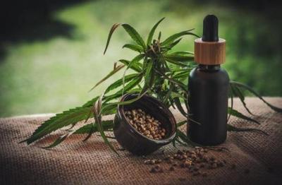 Ukraine Moves to Legalize Marijuana for Treating Soldiers