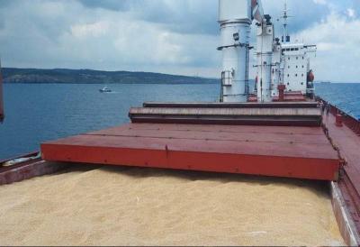 Title: Resumption of Ship Inspection Operations Under Ukrainian Grain Agreement