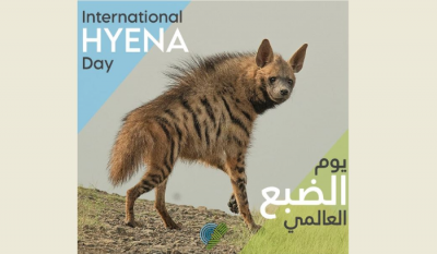 Title: Earth Association Urges to Save the Spotted Hyena in Lebanon