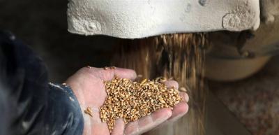 Russian Grain Union: Black Sea Agreement No Longer Holds Value for Moscow