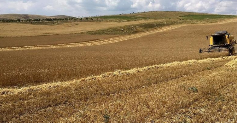 UN: One-Fifth of Food Production in Turkey Affected by Earthquake