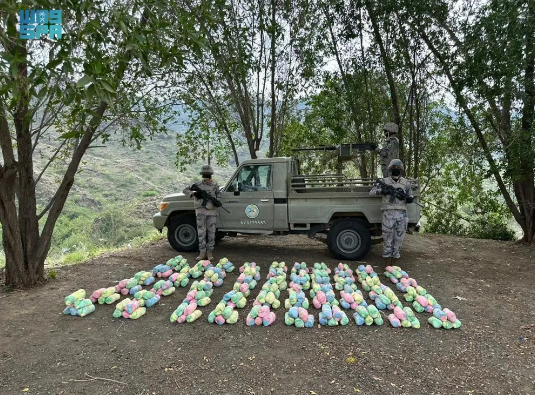 Saudi Border Guard Seizes Tons of Narcotic Qat