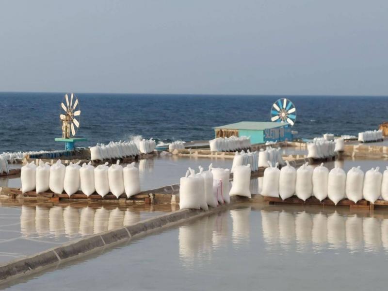 Salt of Lebanon: My Country's Triangle