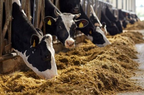Switzerland Reports Case of Atypical Bovine Spongiform Encephalopathy
