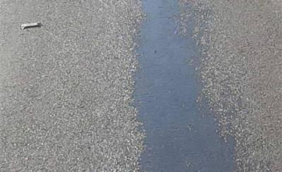 Diesel Spill on Batroun Road