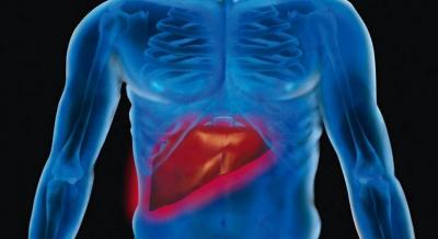 Japanese Diet May Help Treat Fatty Liver Disease: 3 Effective Foods
