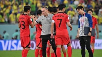 After the Loss to Brazil.. South Korea's Coach Resigns