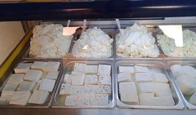 Closure of Cheese and Dairy Factories in Zgharta