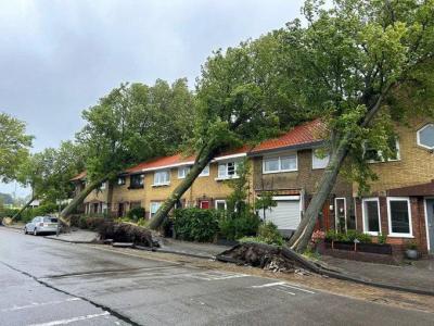 Netherlands: Woman Dies and Flights Halted Due to "Rare" Storm