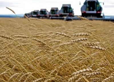 Russia Assures the UN Regarding the Grain Agreement