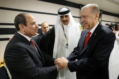 Sisi and Erdogan Agreed on Ambassador Exchange