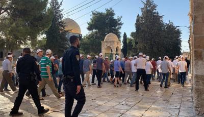 142 Settlers Storm Al-Aqsa