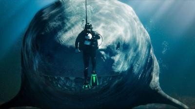 The Meg: The Trench Earns $322 Million Worldwide