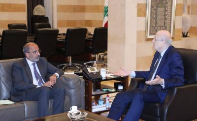 Title: Riza: Formulating Assistance for Syrian Refugees According to Lebanese State Aspirations
