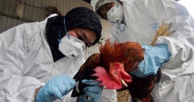 Old Viruses Resurface: Concerns Over New Influenza!