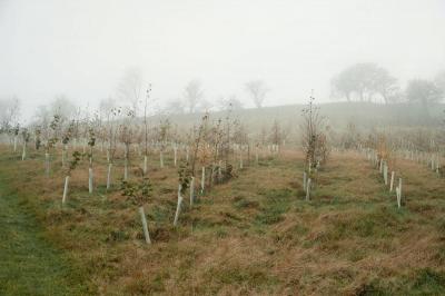 Title: Britain Funds Experiment to Measure Carbon Dioxide Impact on the Amazon Rainforest