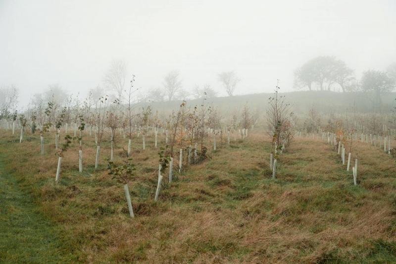 Title: Britain Funds Experiment to Measure Carbon Dioxide Impact on the Amazon Rainforest