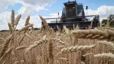 Concerns Arise After Egypt's Withdrawal from Grain Agreement