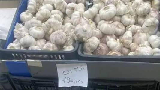 Garlic 
