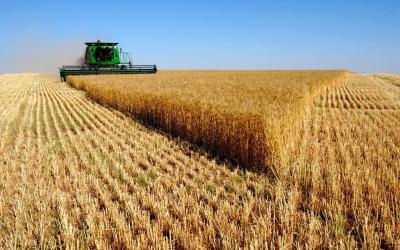 How Long Does Ukrainian Agricultural Production Need to Recover?