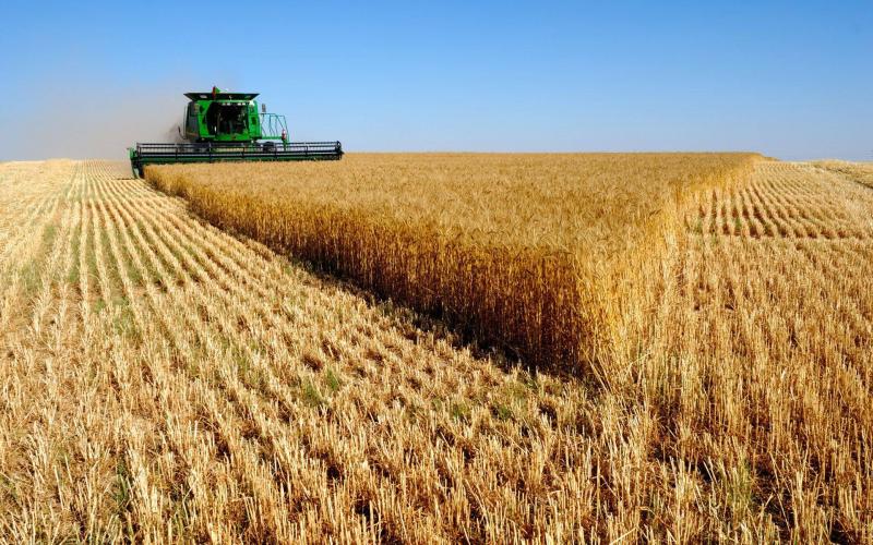 How Long Does Ukrainian Agricultural Production Need to Recover?