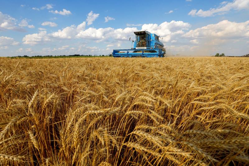 Poland Prohibits Imports of Ukrainian Grain and Food Products