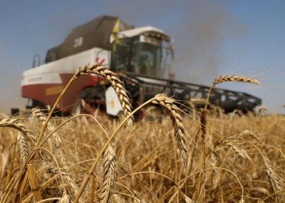 Kremlin: Prospects for Grain Agreement "Not Very Good"