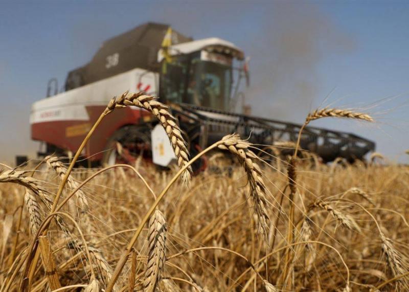 Kremlin: Prospects for Grain Agreement 