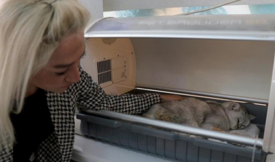 Rescue of Cat after 49 Days Post-Turkey Earthquake
