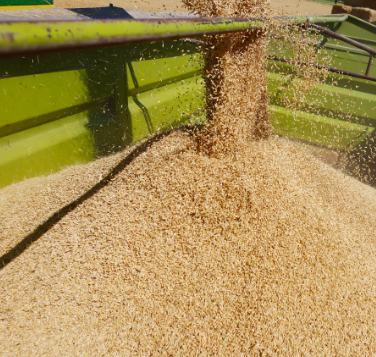 Ukraine's Stance on Grain Imports