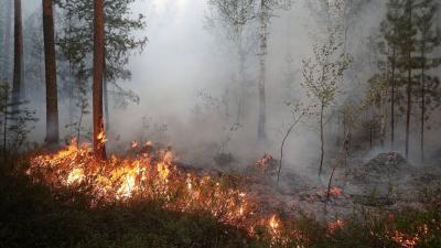 In Russia: Wildfires and Floods Kill 3 People