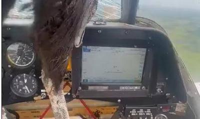 Video - Bird Crashes into Cockpit, Soiling Pilot with Blood