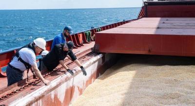 Black Sea Grain Initiative Between the US and Turkey