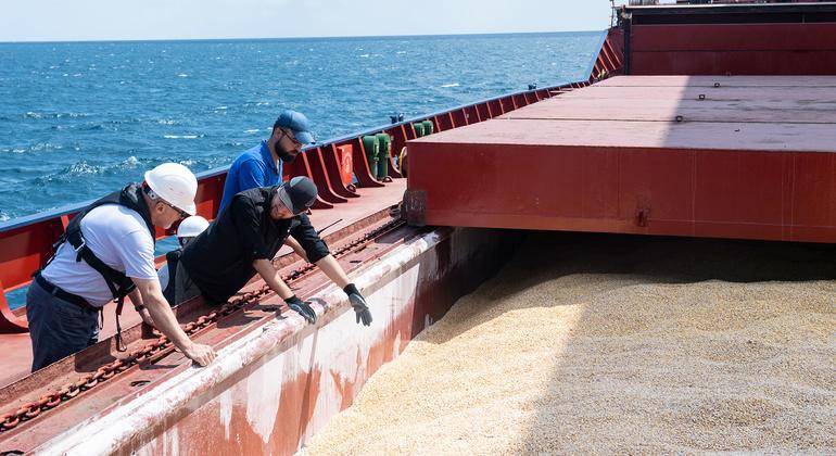 Black Sea Grain Initiative Between the US and Turkey