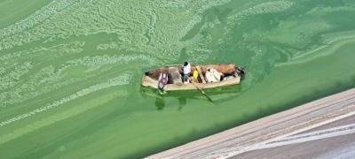 Finding a Citizen's Body in Lake Qaraoun