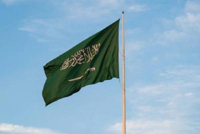 Title: Foreign Direct Investment Flows to Saudi Arabia