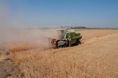Russian, Ukrainian, and Turkish Defense Ministers' Deputies to Discuss Grain Agreement