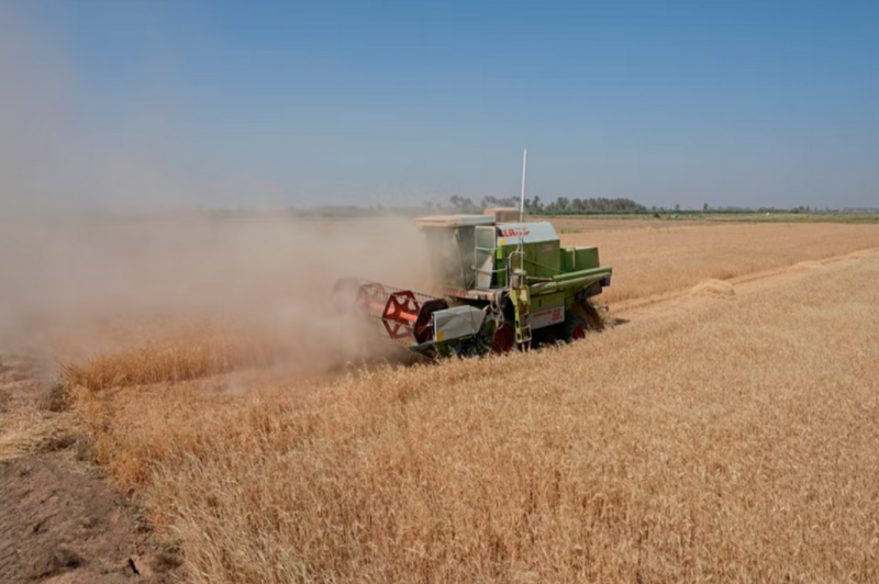 Russian, Ukrainian, and Turkish Defense Ministers' Deputies to Discuss Grain Agreement