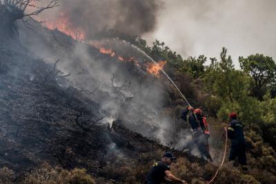 Wildfires in Greece Result in One Death