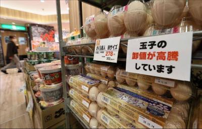 Egg Crisis in Japan Due to Avian Influenza